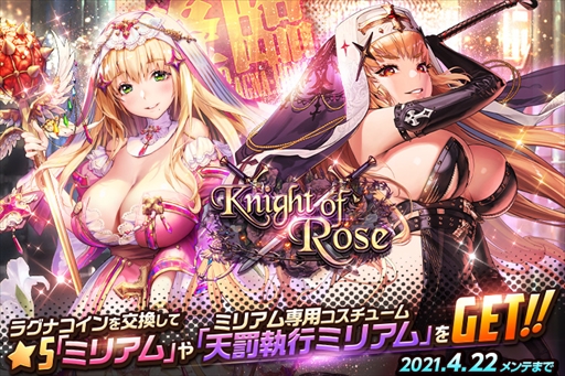 #001Υͥ/֥ǥƥˡ㥤ɡסȥ饰ʥ֥쥤 Season22 -Knight of Rose-ɤ